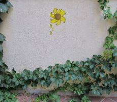 1_216.jpg