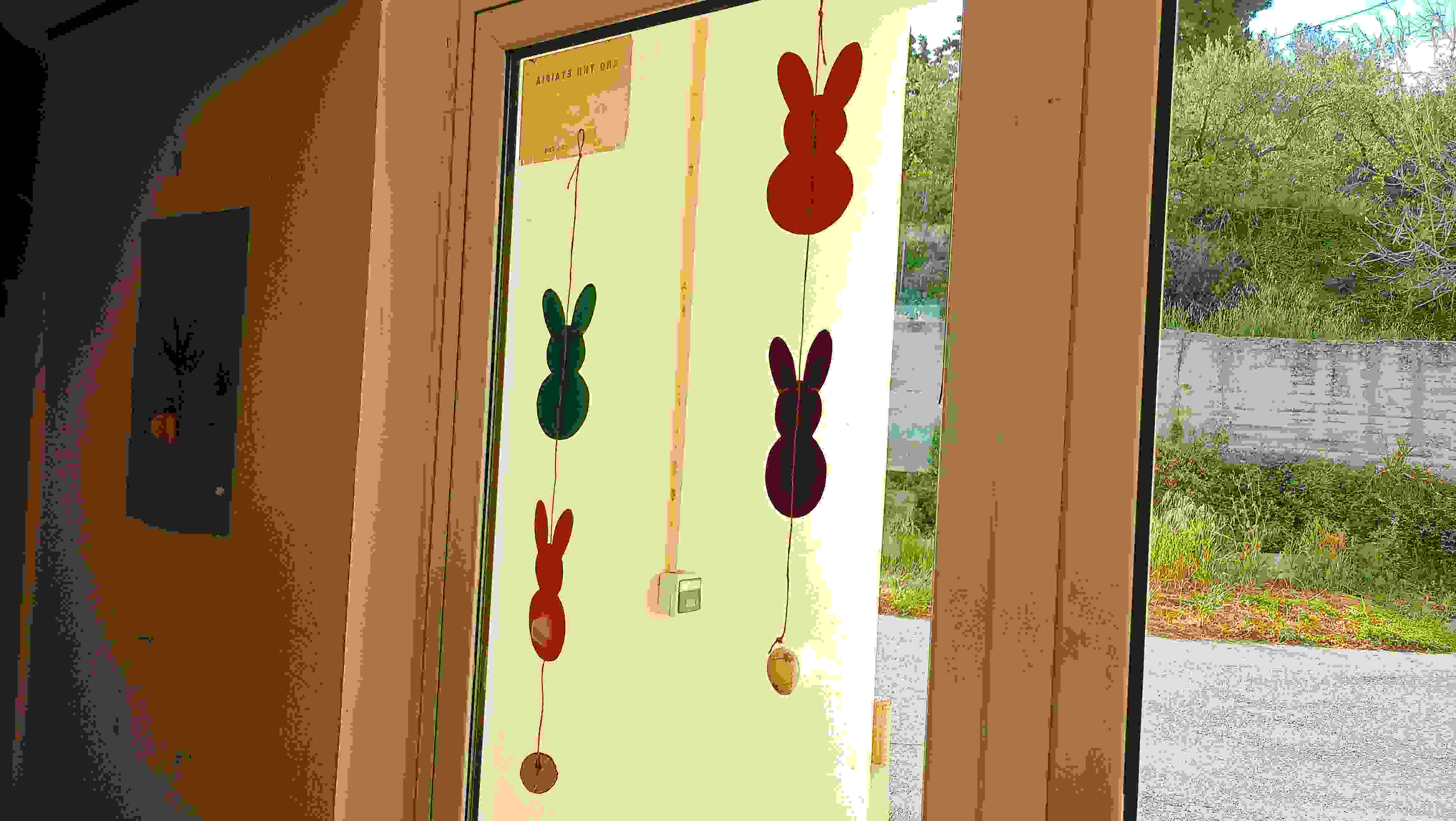 IMG20250403091843 (1).jpg